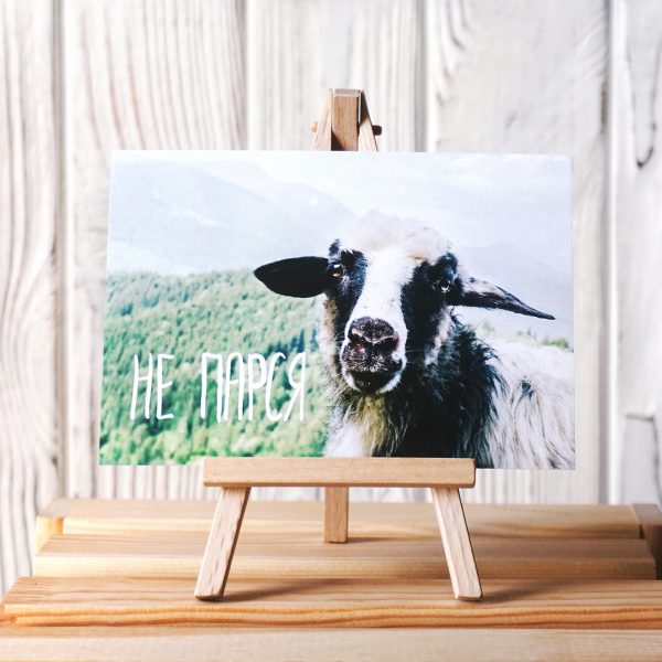 Листівка «Не парся»